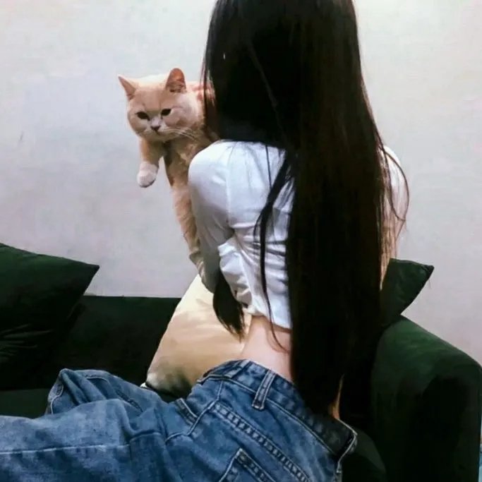 上载新生第四季